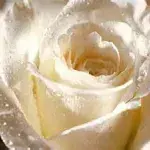 aditidave